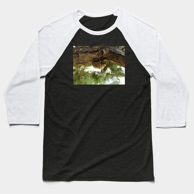 ⁣Cicada shell. It was in a hurry. Baseball T-Shirt by someartworker